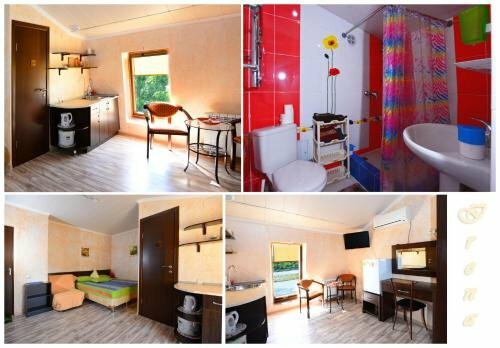 Гостиница Ирена Адлер-109