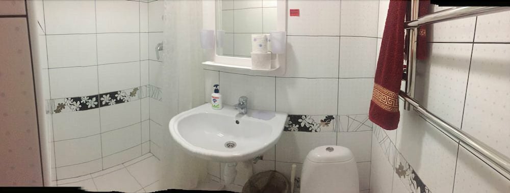 Гостиница Ирена Адлер-183