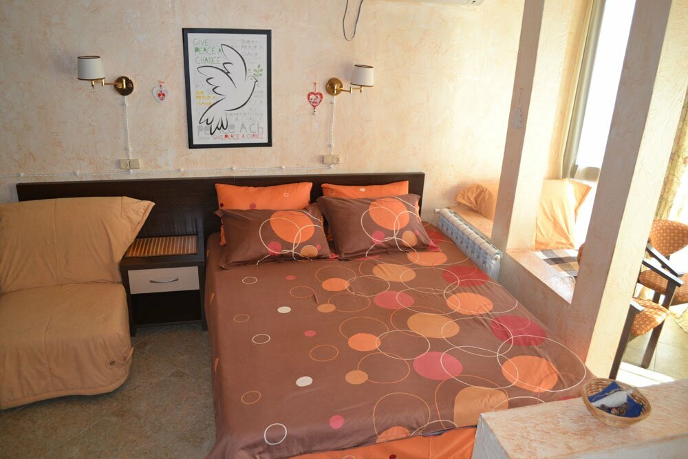 Гостиница Ирена Адлер-124