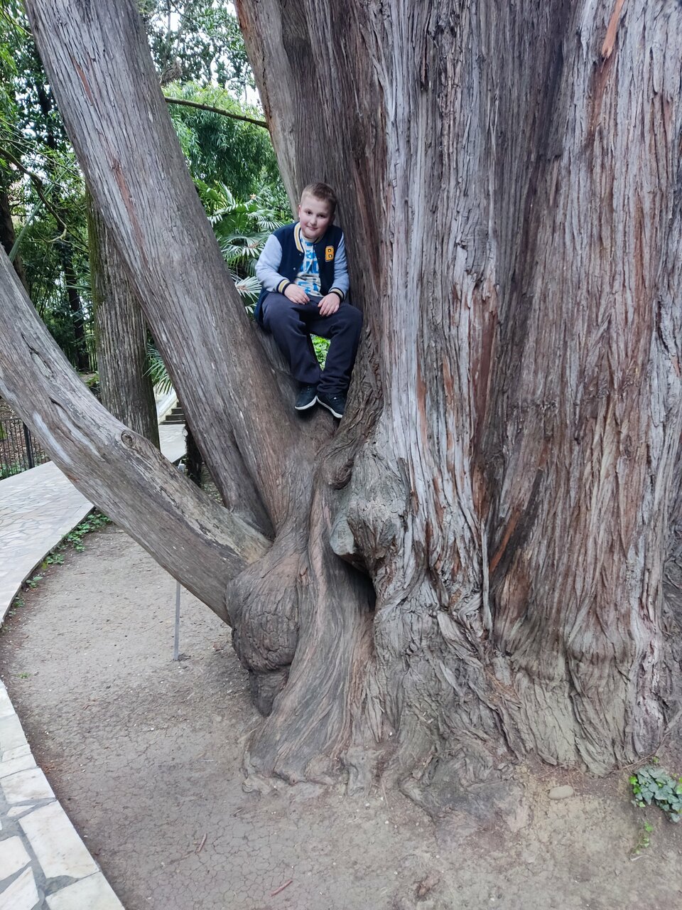 Гостиница Ирена Адлер-191