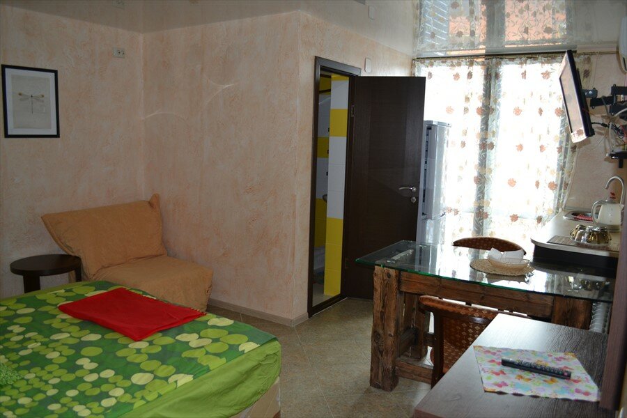 Гостиница Ирена Адлер-8