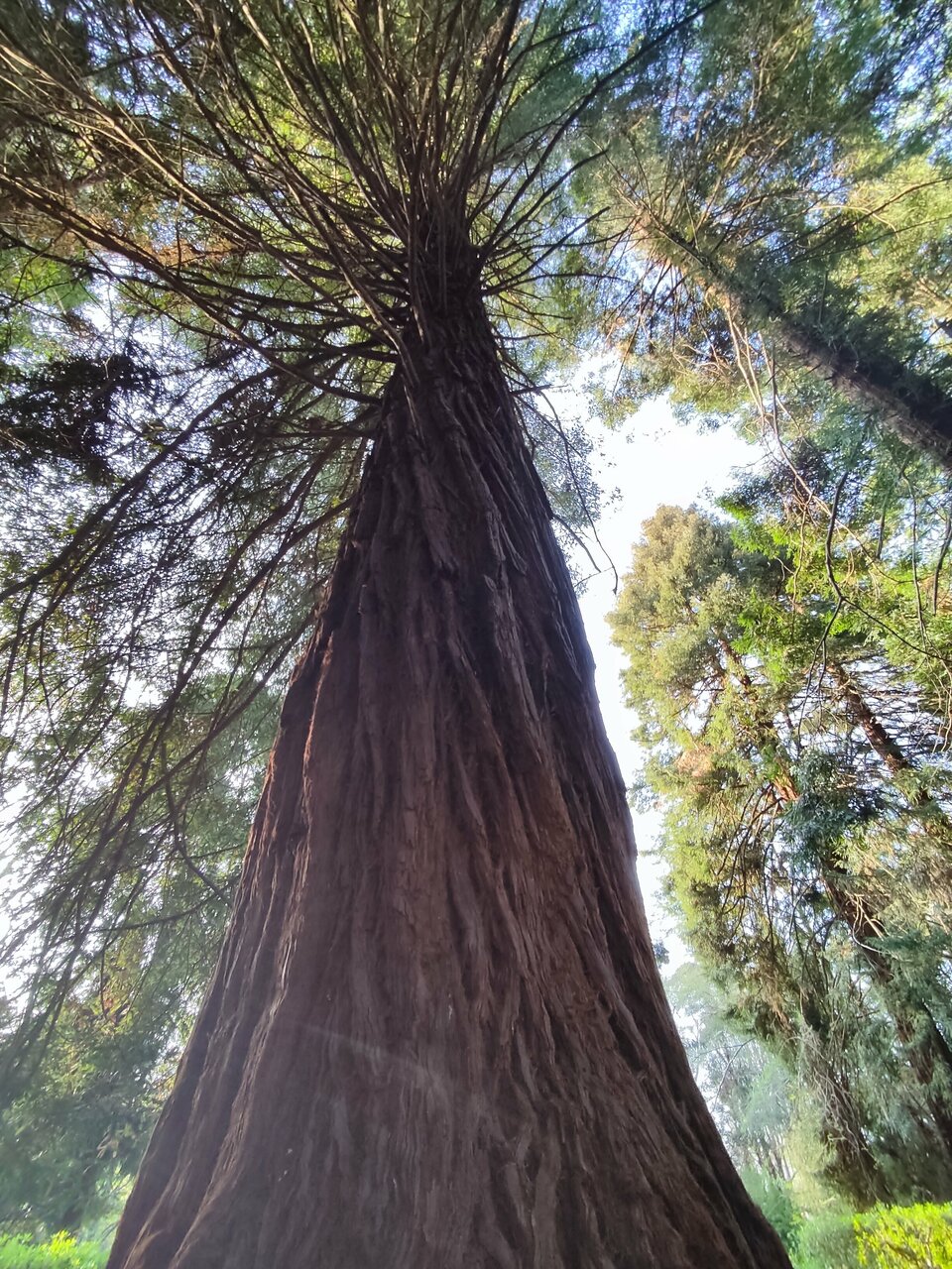 Гостиница Ирена Адлер-154