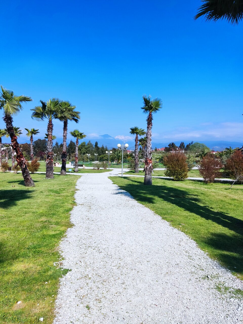 Гостиница Ирена Адлер-130