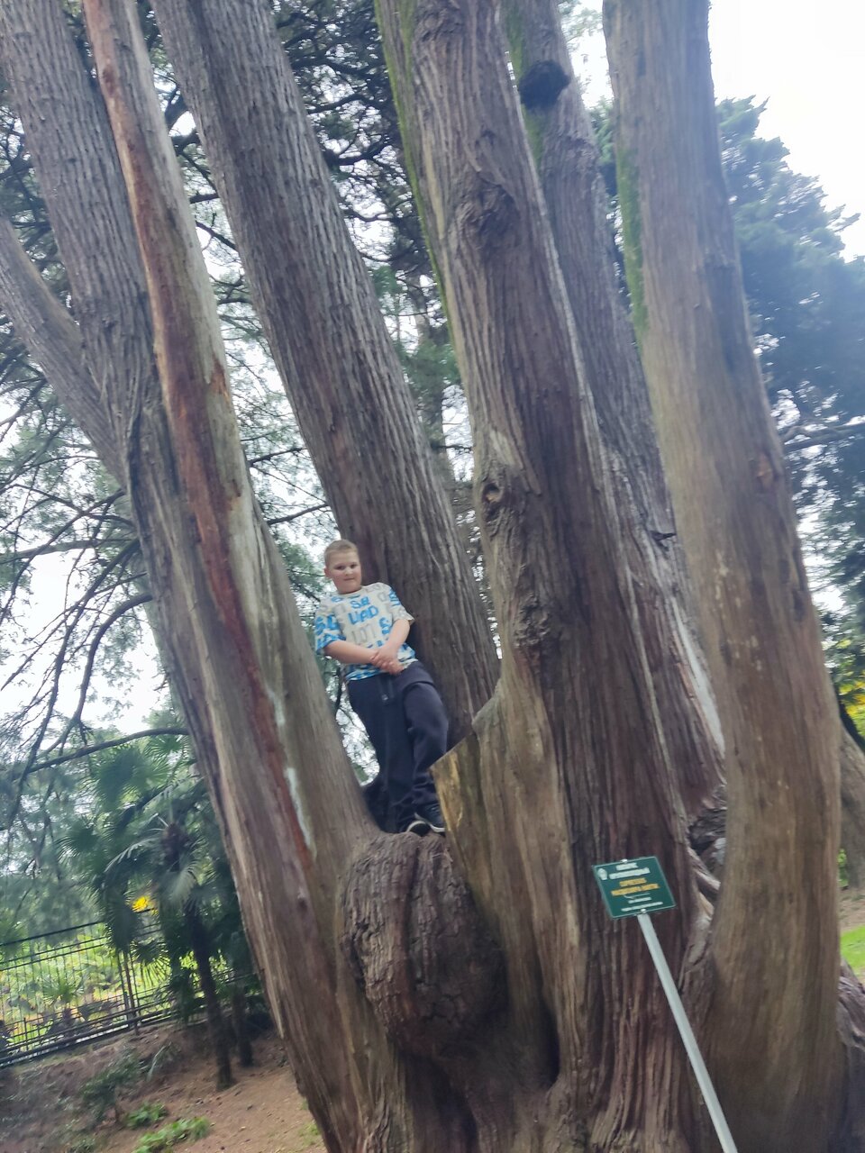 Гостиница Ирена Адлер-168