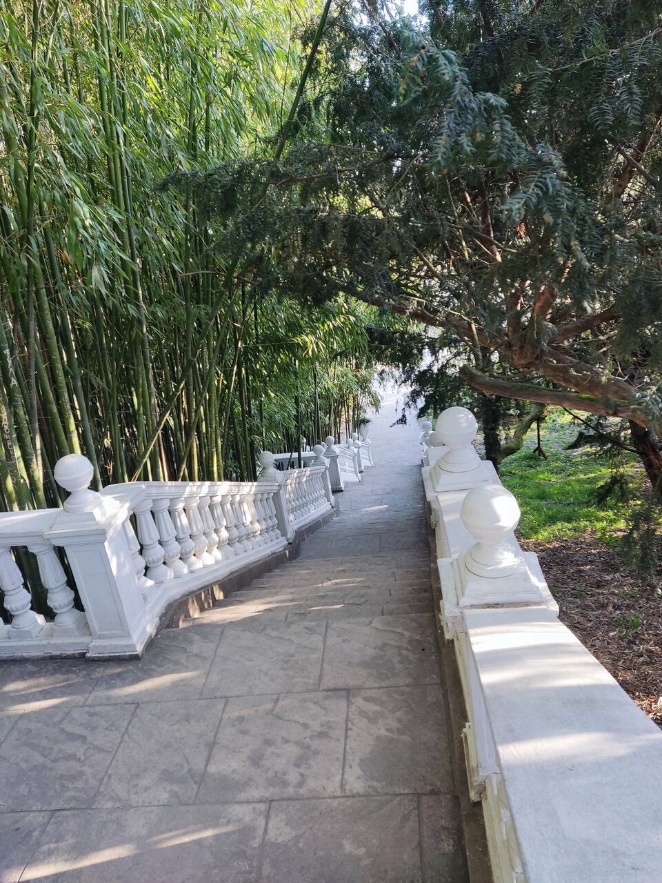 Гостиница Ирена Адлер-126