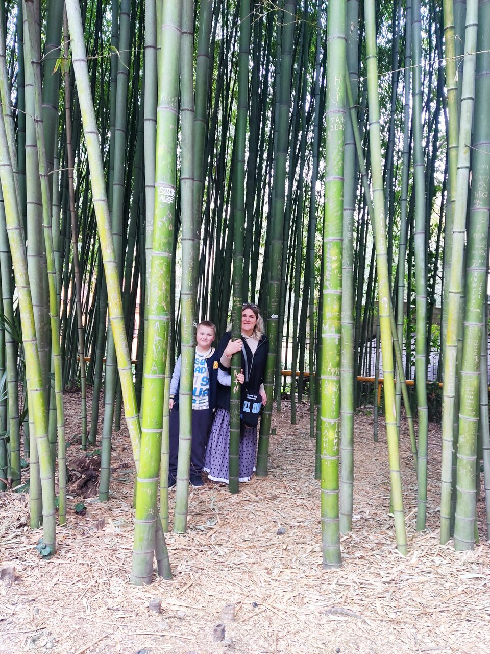 Гостиница Ирена Адлер-40