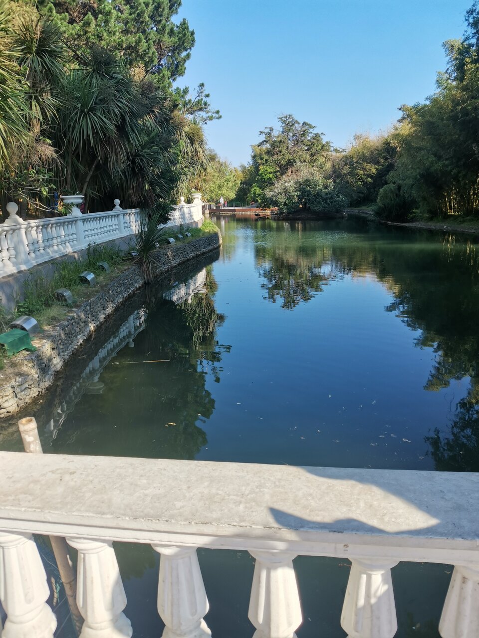 Гостиница Ирена Адлер-61