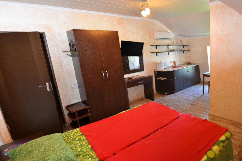 Гостиница Ирена Адлер-222