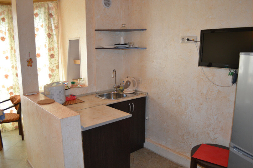 Гостиница Ирена Адлер-201