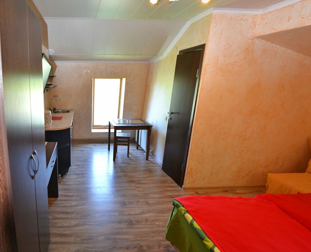 Гостиница Ирена Адлер-221