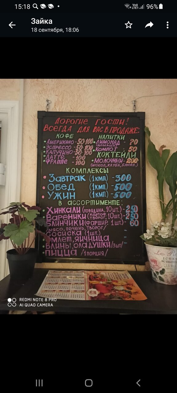 Гостиница Ирена Адлер-90