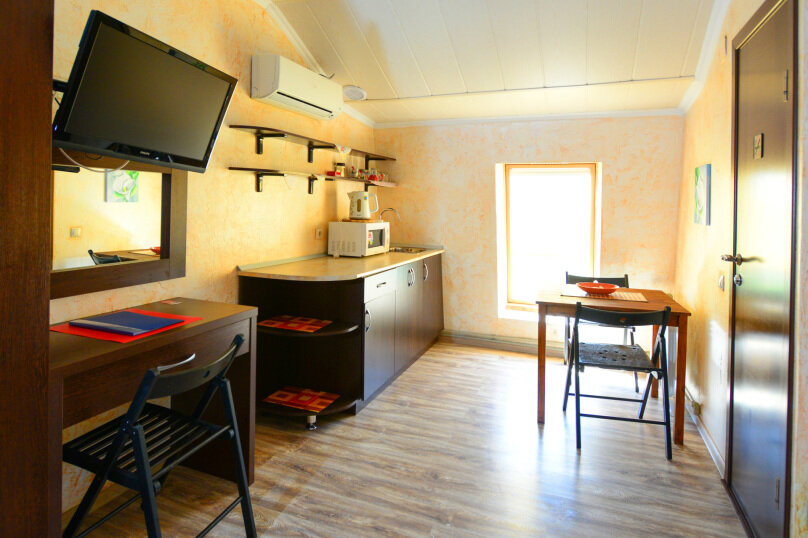 Гостиница Ирена Адлер-205