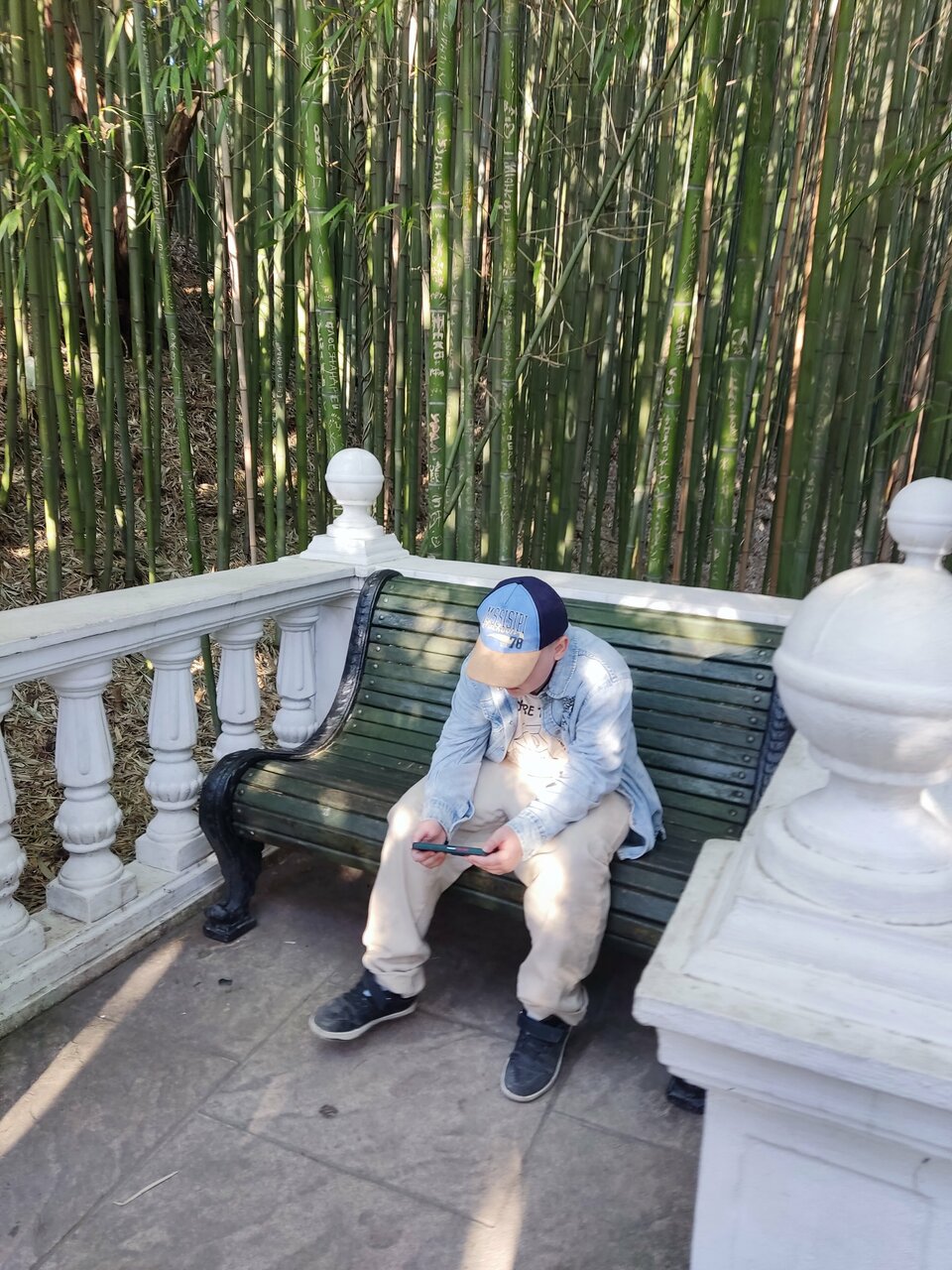 Гостиница Ирена Адлер-137