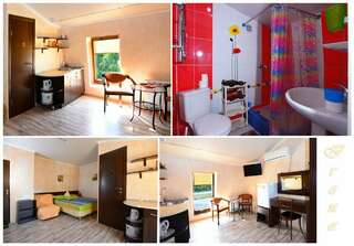 Гостиница Ирена Адлер Студия-4