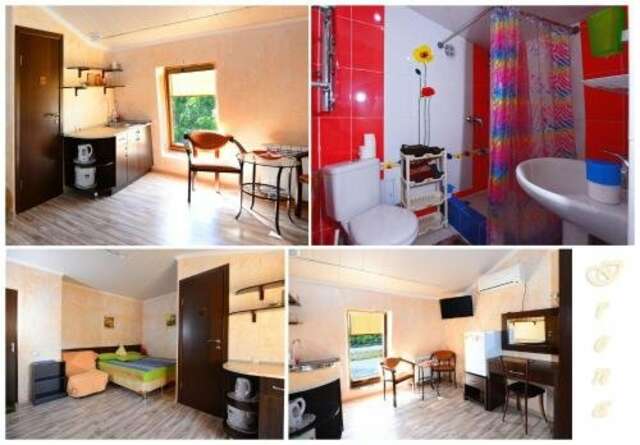 Гостиница Ирена Адлер-108