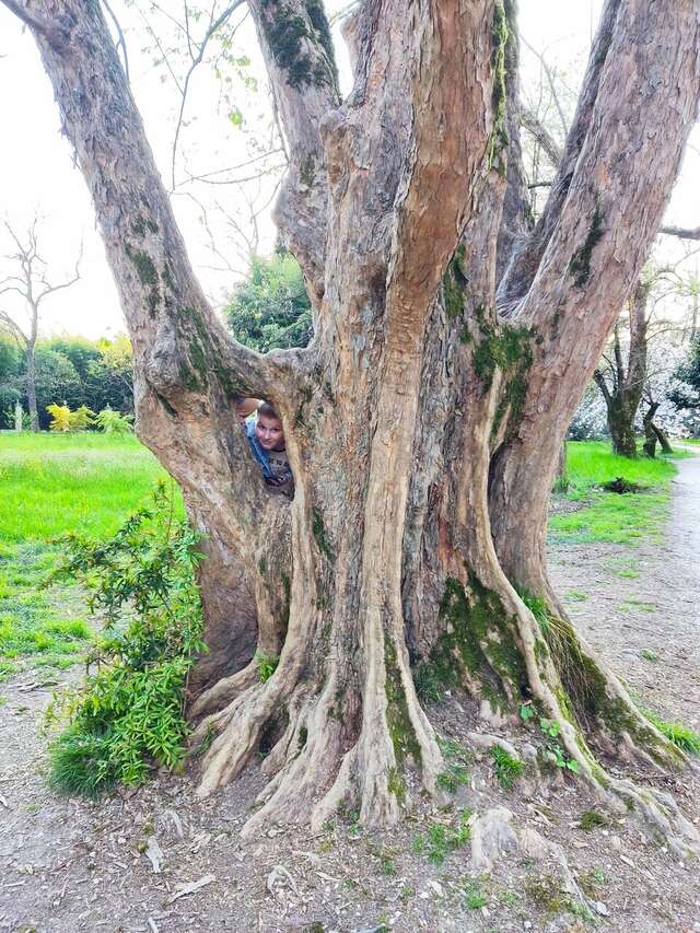 Гостиница Ирена Адлер-49