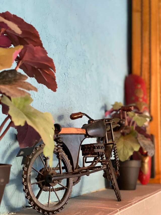 Гостиница Ирена Адлер-183