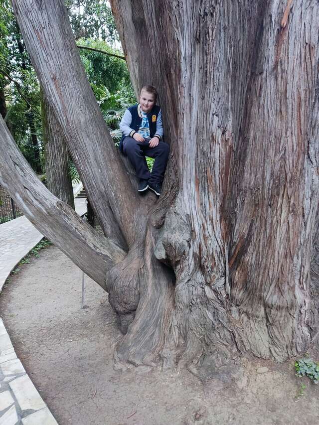 Гостиница Ирена Адлер-190