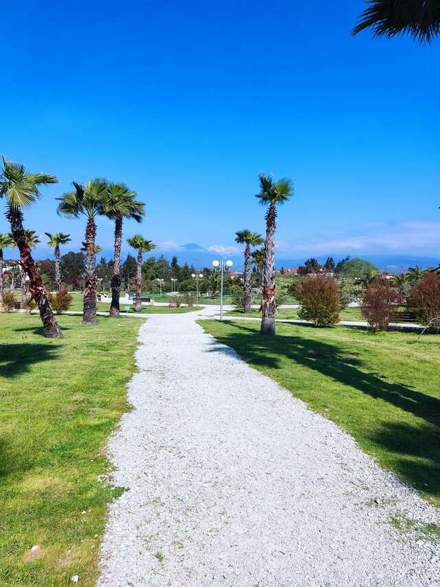 Гостиница Ирена Адлер-129