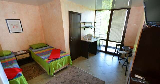 Гостиница Ирена Адлер-233