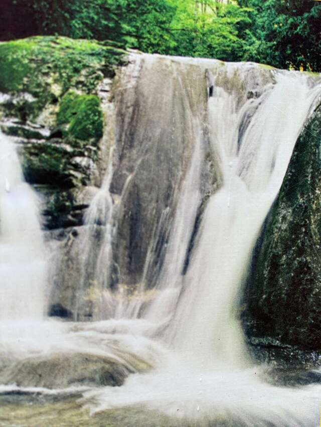 Гостиница Ирена Адлер-20