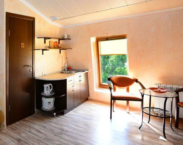 Гостиница Ирена Адлер-145