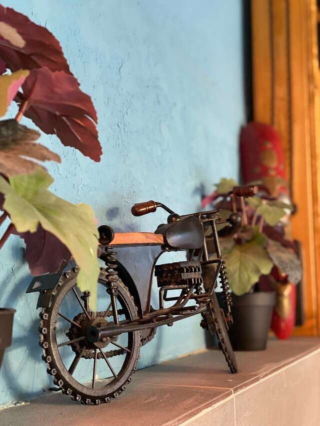 Гостиница Ирена Адлер-44