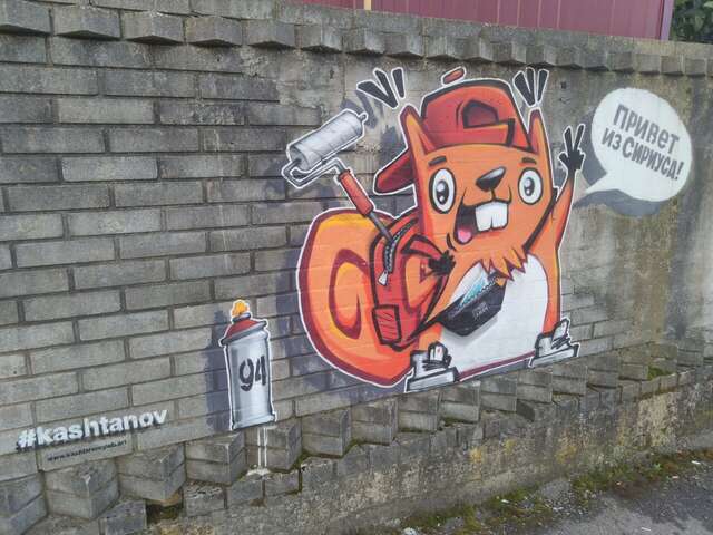 Гостиница Ирена Адлер-42