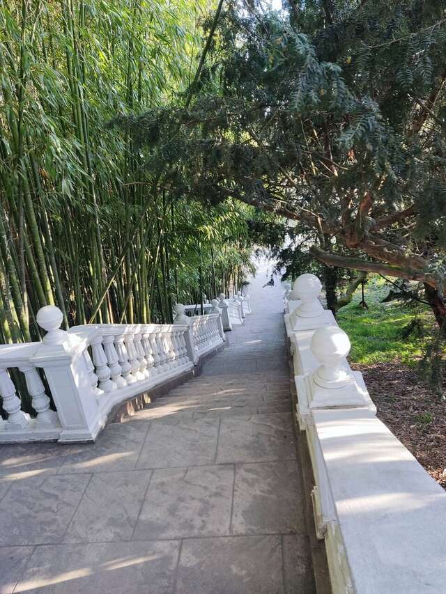 Гостиница Ирена Адлер-125