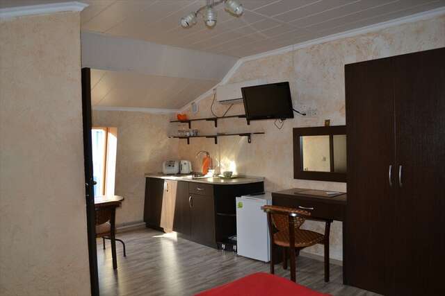 Гостиница Ирена Адлер-9