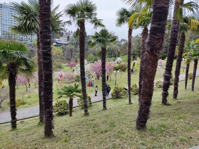 Гостиница Ирена Адлер-102