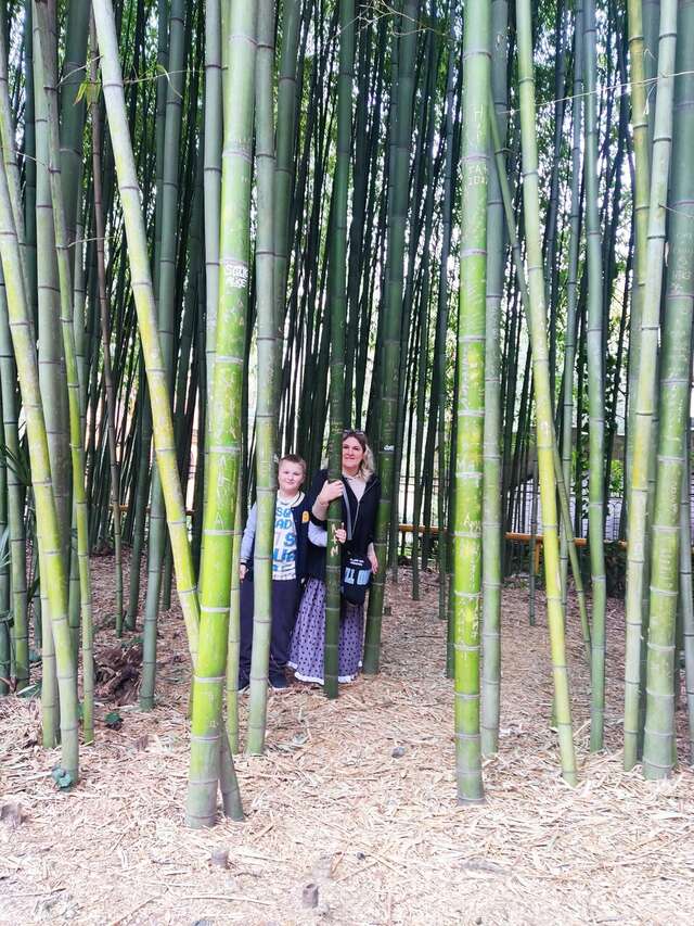 Гостиница Ирена Адлер-39