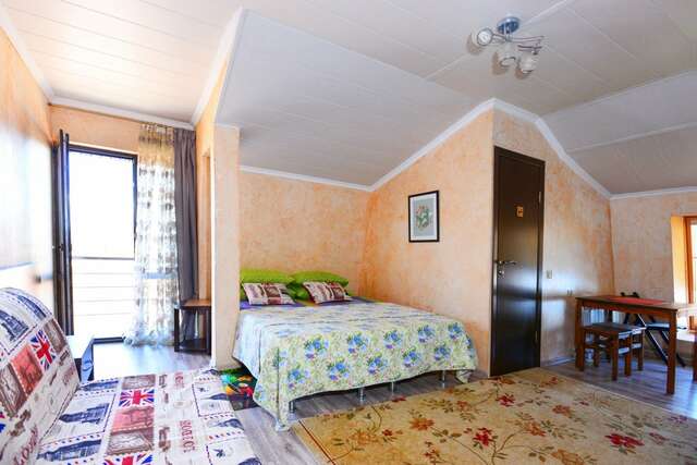 Гостиница Ирена Адлер-206