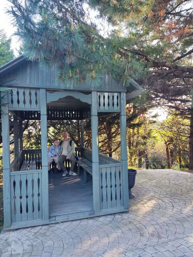 Гостиница Ирена Адлер-81