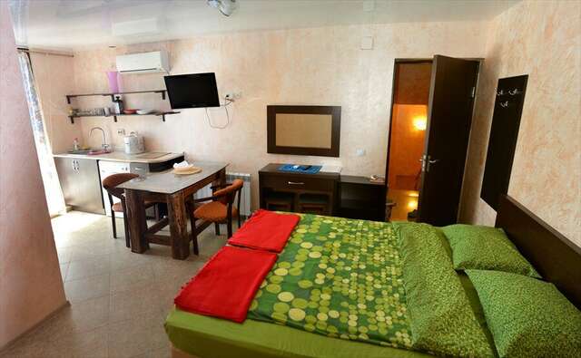 Гостиница Ирена Адлер-8