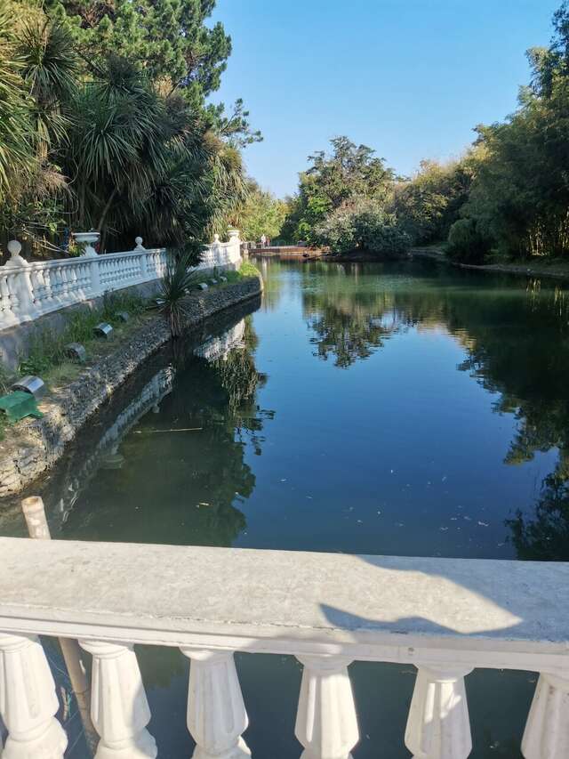 Гостиница Ирена Адлер-60