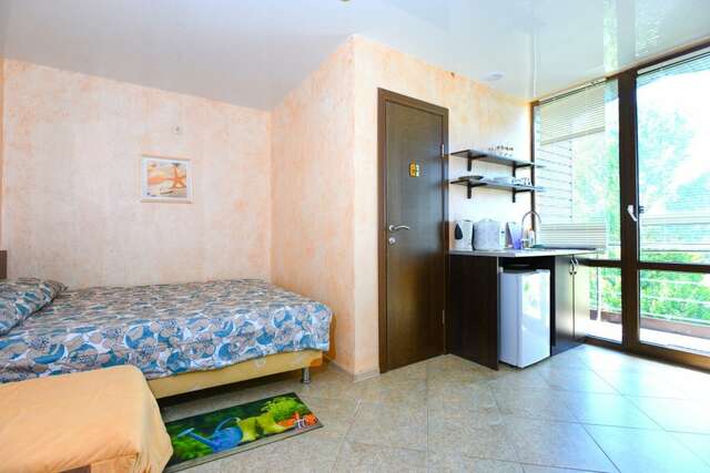 Гостиница Ирена Адлер-227