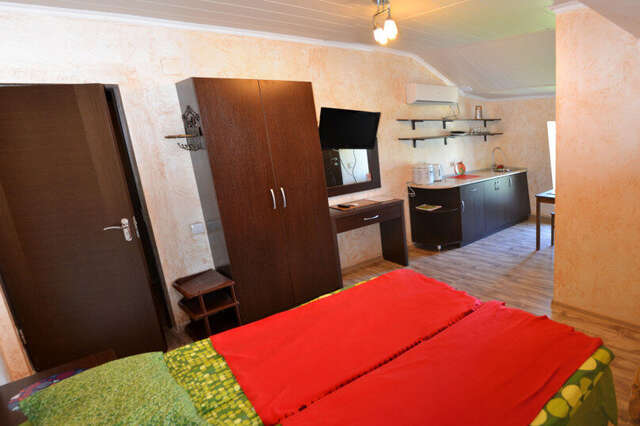 Гостиница Ирена Адлер-221