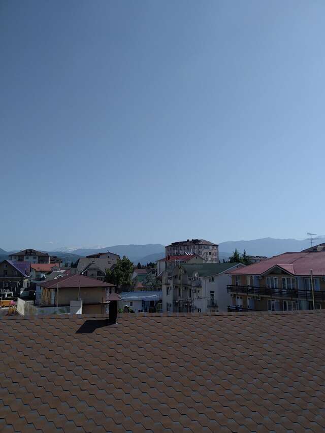 Гостиница Ирена Адлер-99