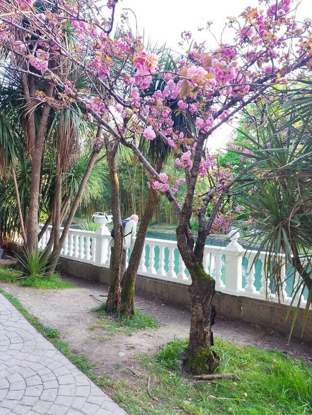 Гостиница Ирена Адлер-29