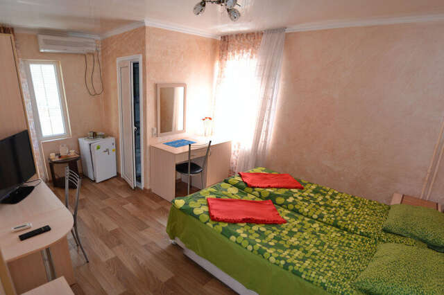 Гостиница Ирена Адлер-170