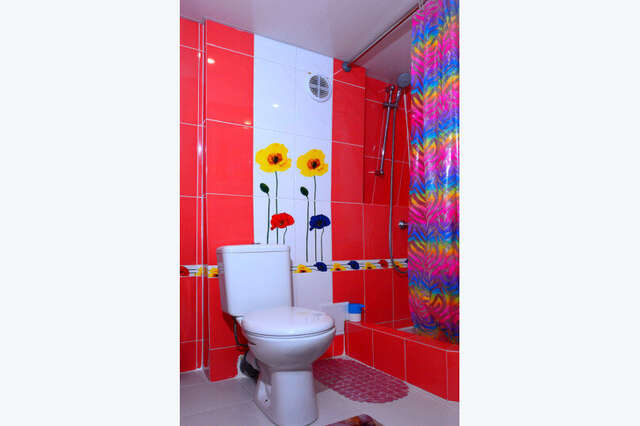 Гостиница Ирена Адлер-67