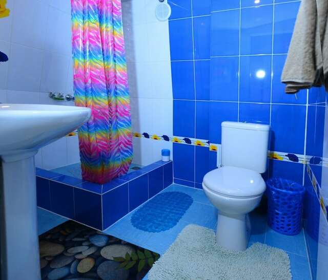 Гостиница Ирена Адлер-229