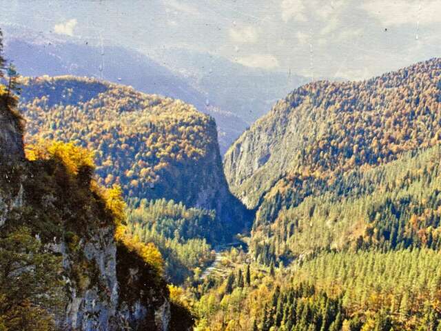 Гостиница Ирена Адлер-48